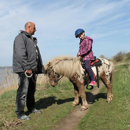 Kwatera prywatna Alte Schule Nahe Ostseebad Rerik Xl