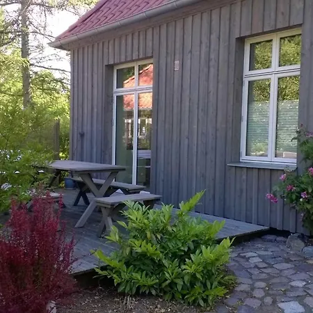 Alte Schule Nahe Ostseebad Rerik Xl Kwatera prywatna